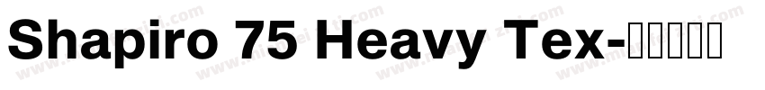 Shapiro 75 Heavy Tex字体转换